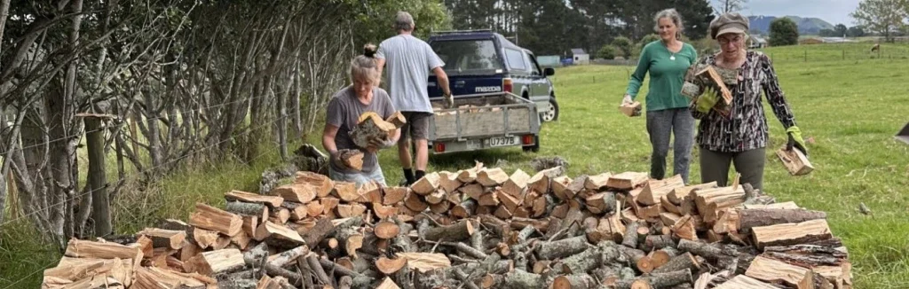 Awhi Tu Collective Creating a Holz Hausen with our firewood project.